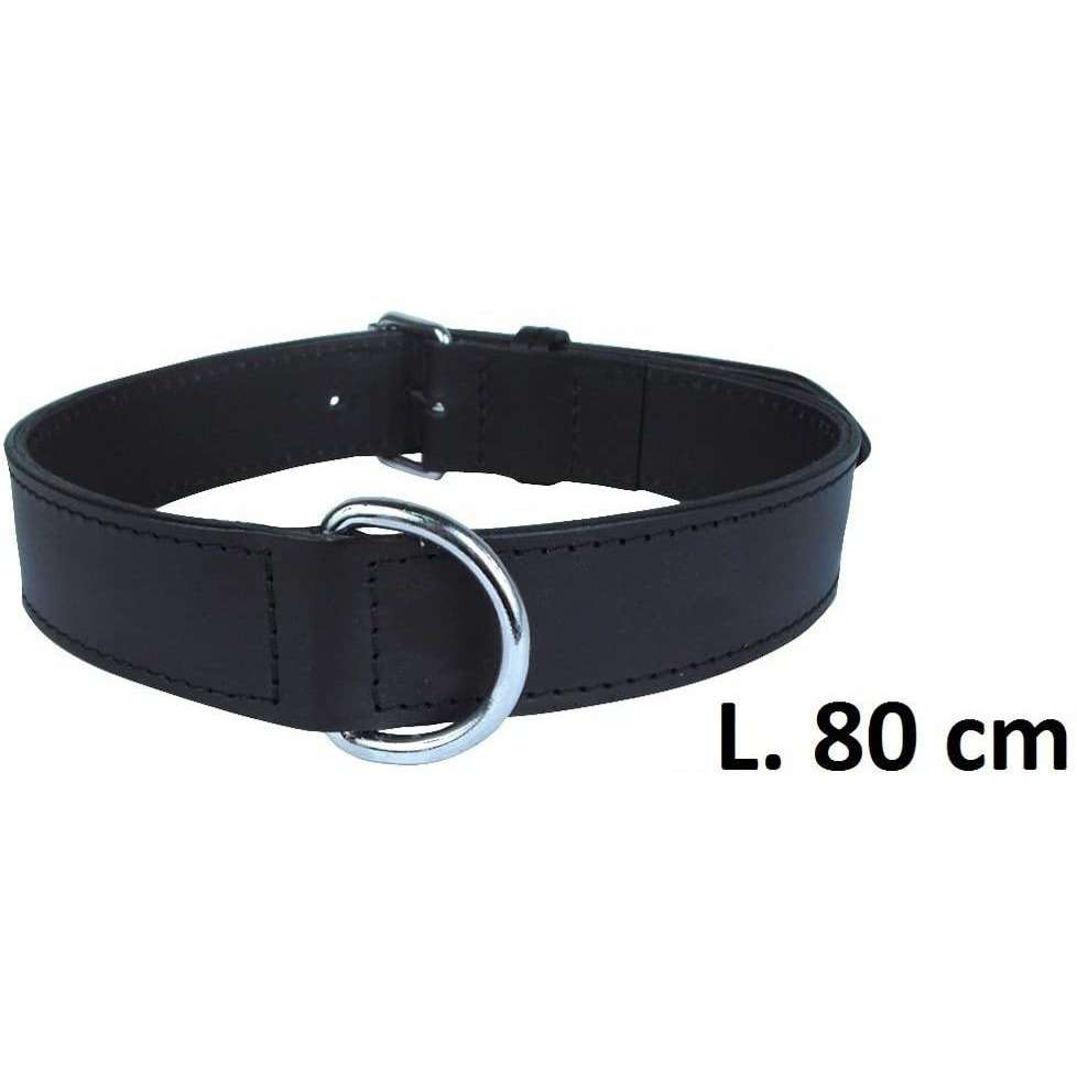 Zolux - Collare Doppio in Pelle per Cani, 35 cm, Colore: Nero Zolux - Collare Doppio in Pelle per Cani, 35 cm, Colore: Nero